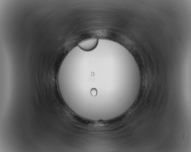 X0000087320518200704200742