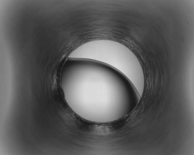 X0000087320520200704200742