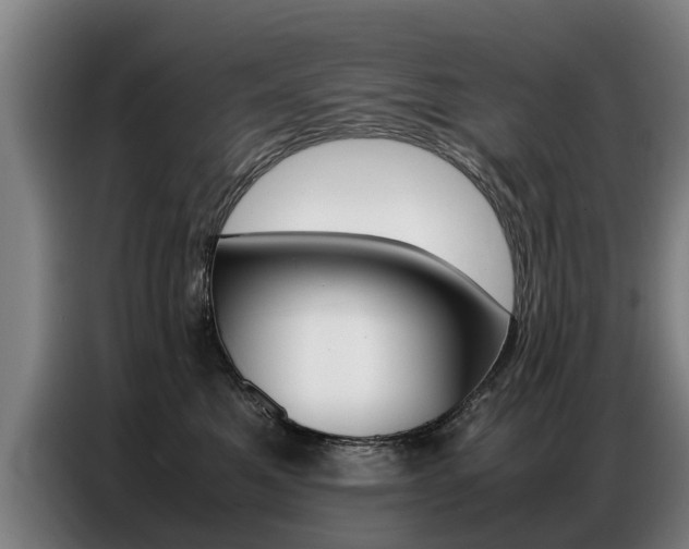 X0000087320521200704200742