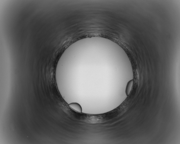 X0000087320522200704200742