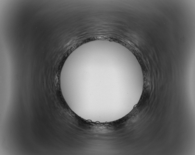 X0000087320523200704200742