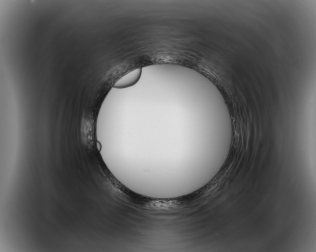X0000087320526200704200742