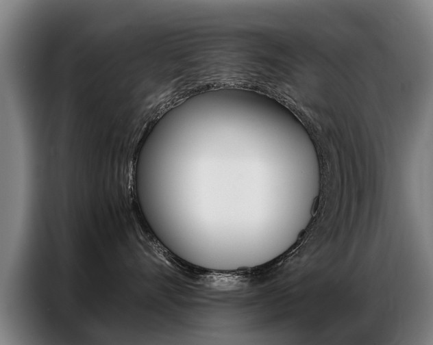X0000087320528200704200742