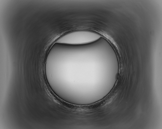 X0000087320529200704200741