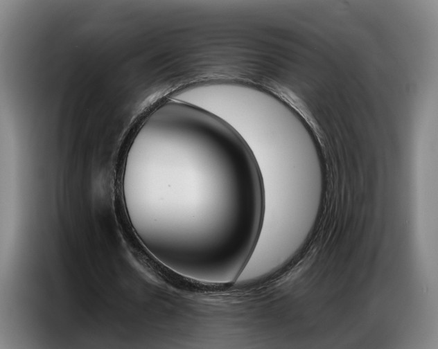 X0000087320530200704200741