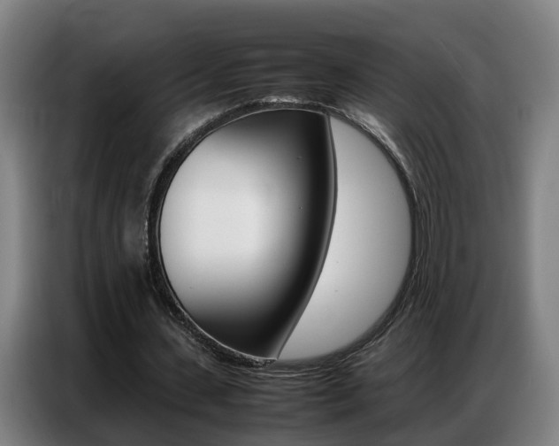 X0000087320531200704200741
