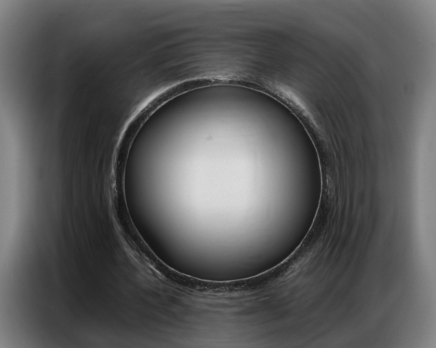 X0000087320532200704200741