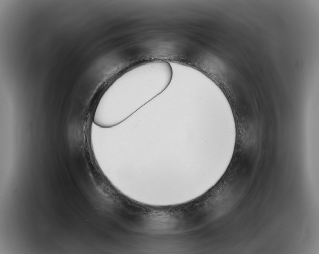 X0000087320534200704200741