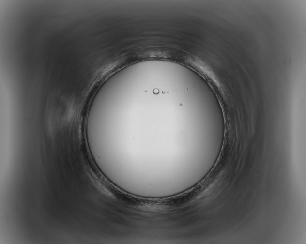 X0000087320537200704200741