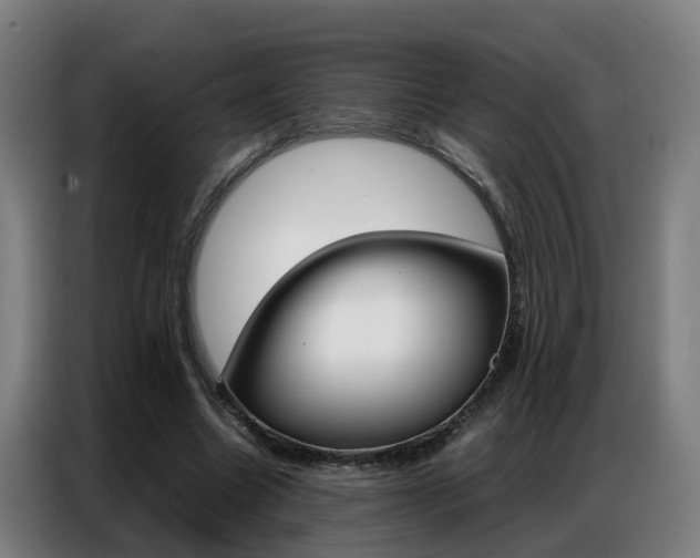 X0000087320538200704200741