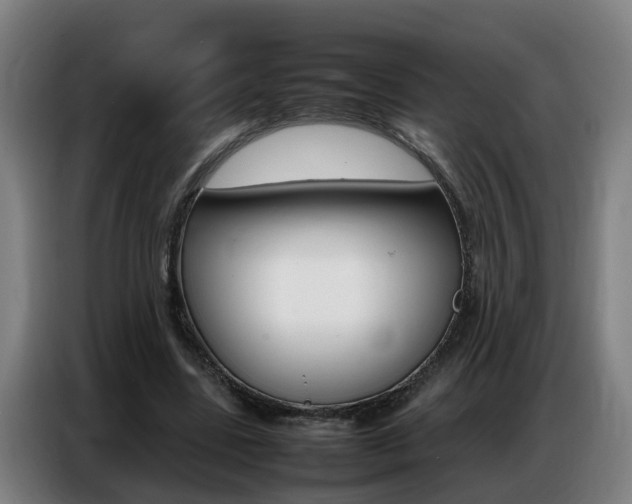 X0000087320539200704200741