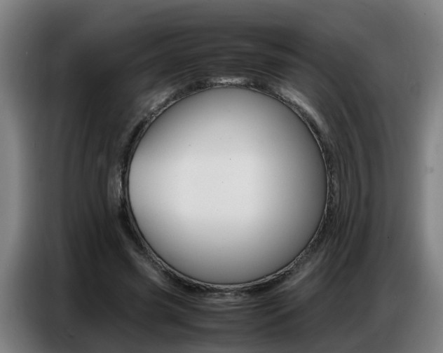 X0000087320541200704200741