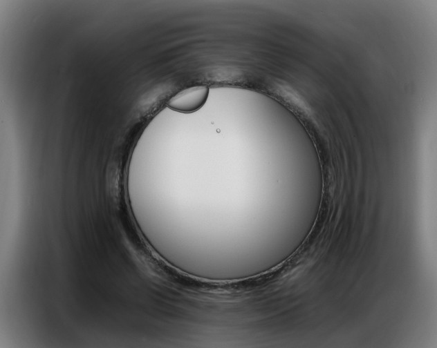 X0000087320542200704200741