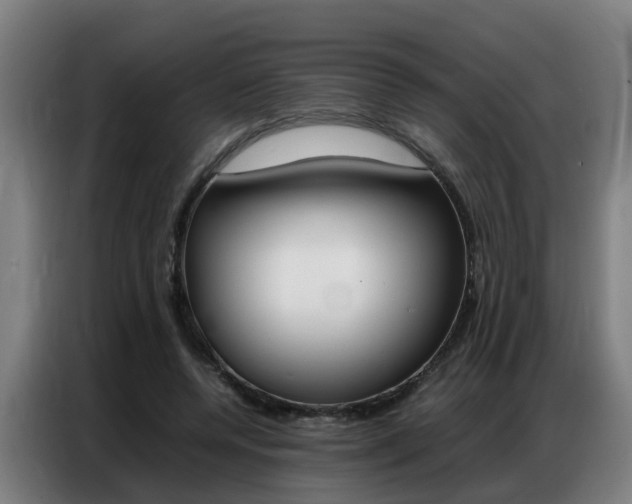 X0000087320544200704200741