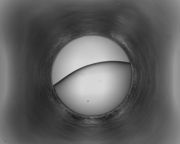 X0000087320545200704200741