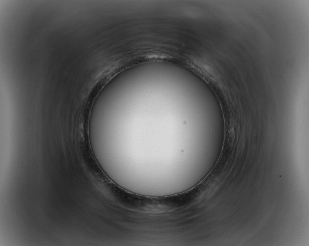 X0000087320547200704200741