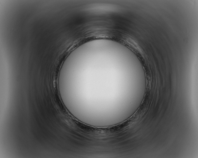 X0000087320549200704200741