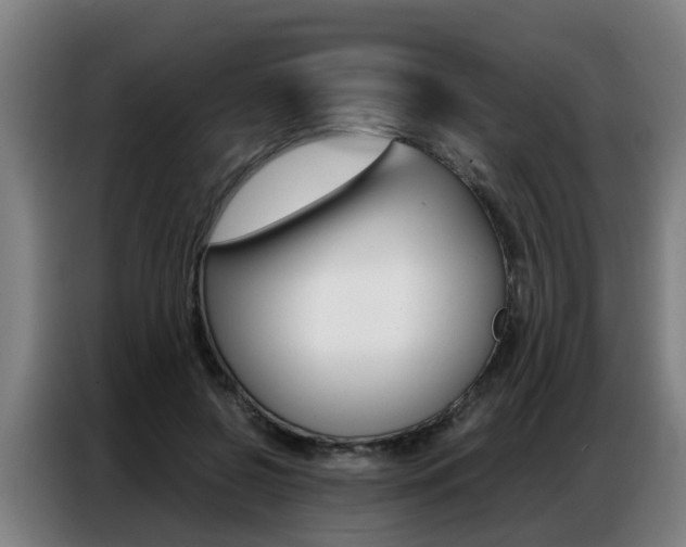 X0000087320550200704200741