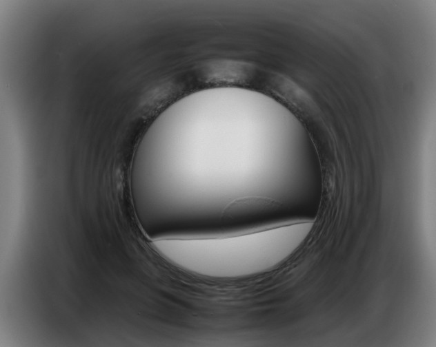 X0000087320551200704200741
