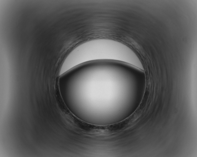 X0000087320552200704200741