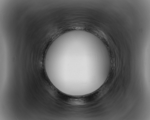 X0000087320553200704200741