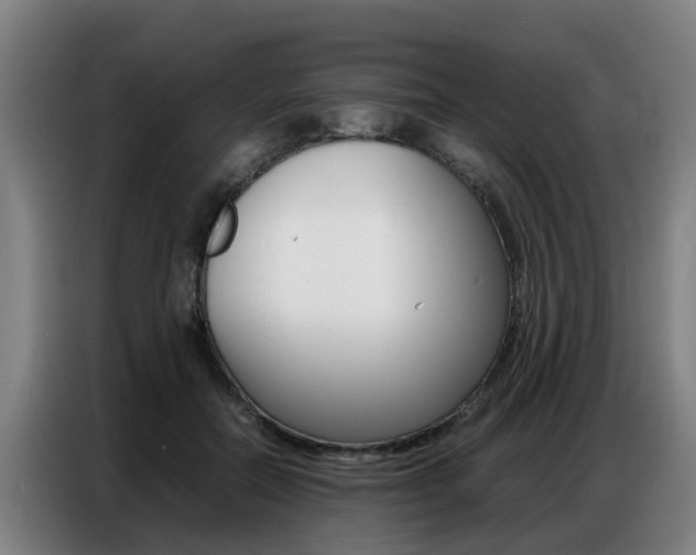 X0000087320554200704200741