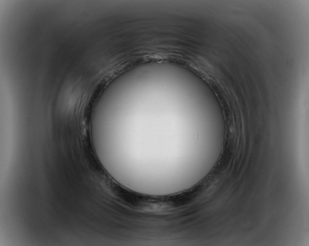 X0000087320555200704200741