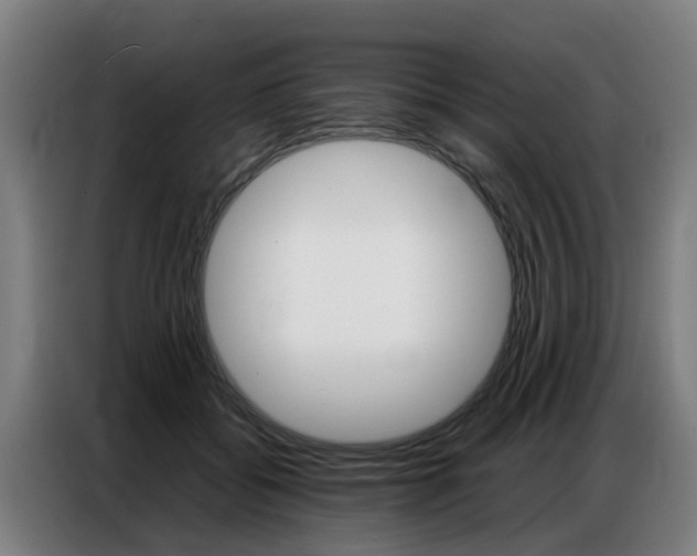 X0000087320556200704200741