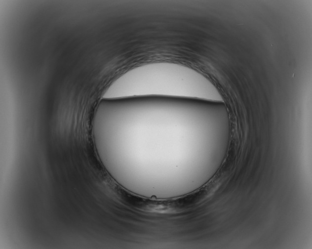 X0000087320557200704200741