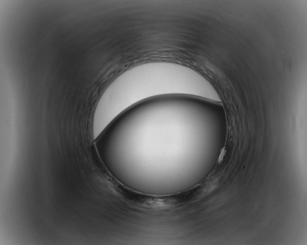 X0000087320558200704200741