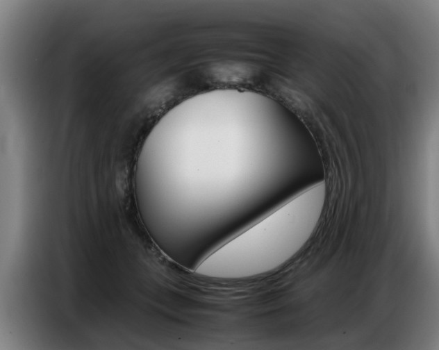 X0000087320559200704200741