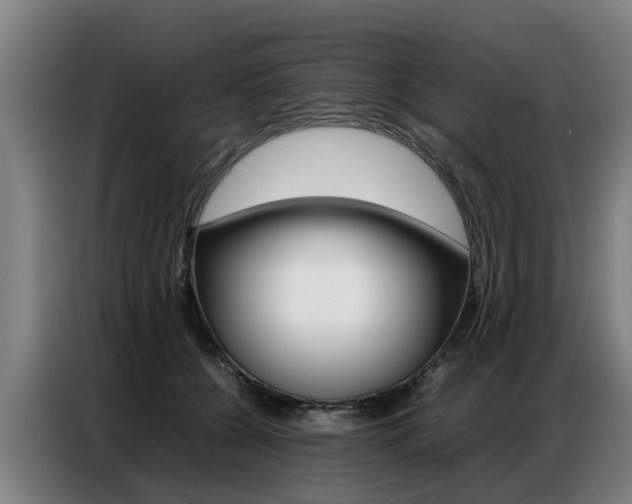 X0000087320560200704200741