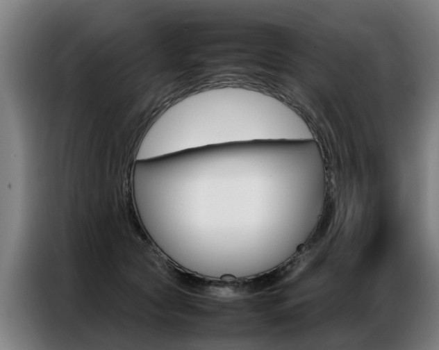 X0000087320561200704200741