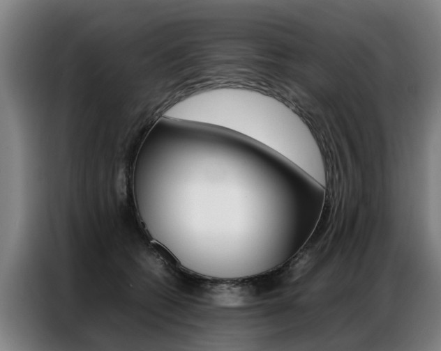 X0000087320562200704200741