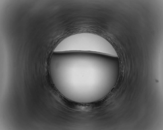 X0000087320563200704200741