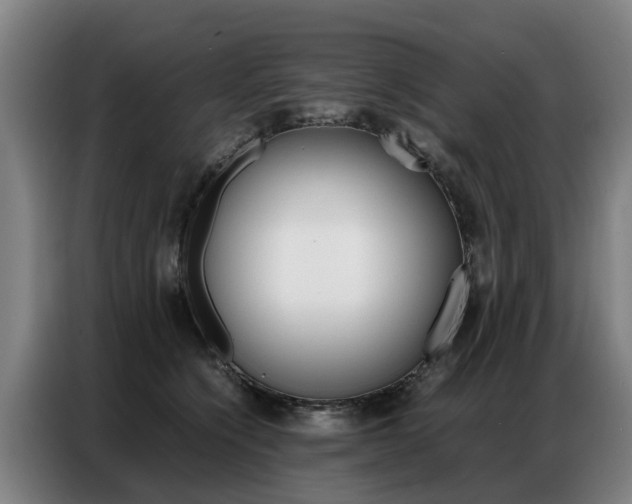 X0000087320564200704200741