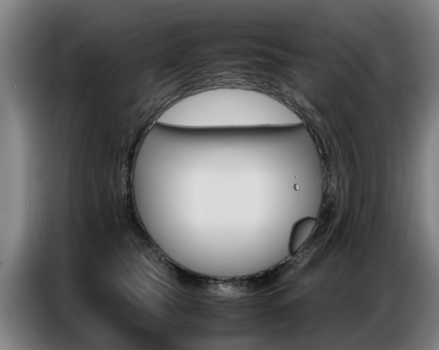 X0000087320565200704200741