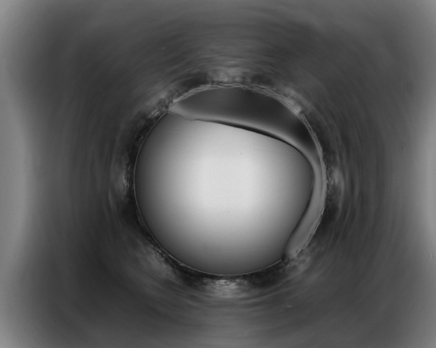 X0000087320566200704200741