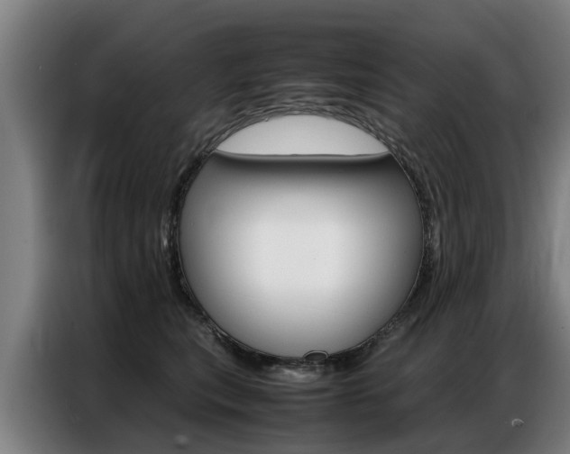 X0000087320567200704200741