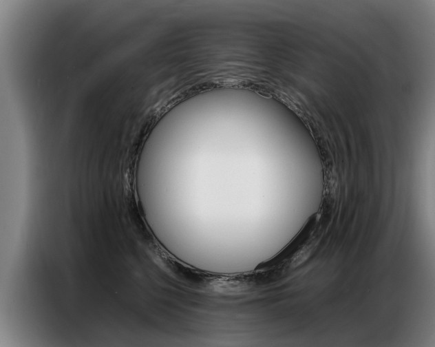 X0000087320568200704200741