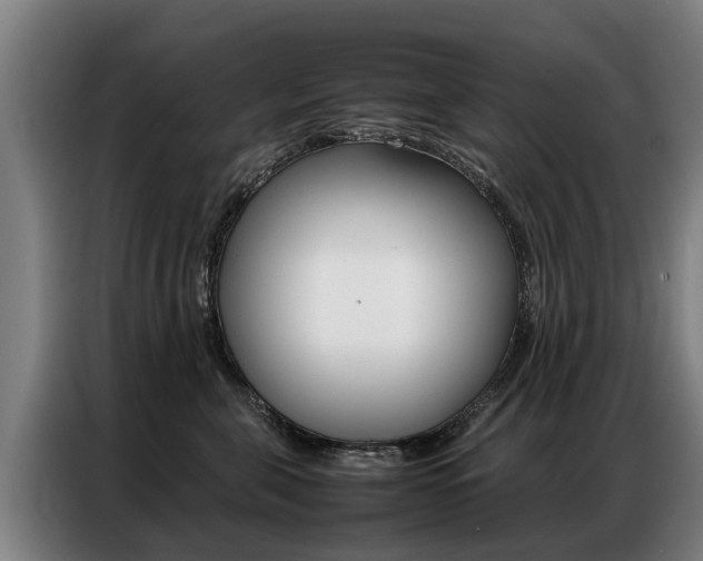 X0000087320571200704200742