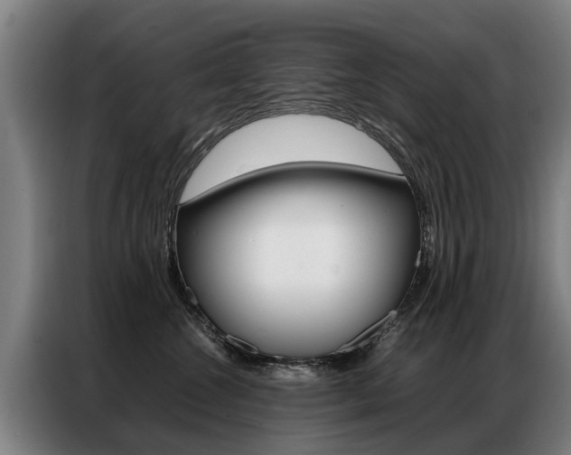 X0000087320572200704200742