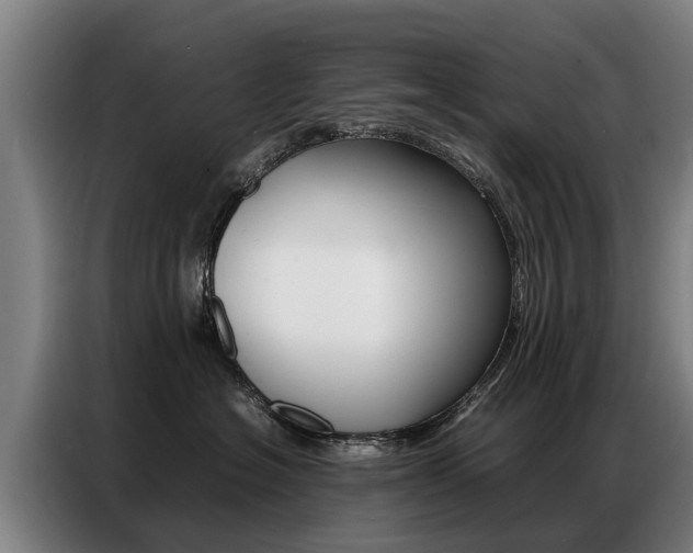 X0000087320574200704200742