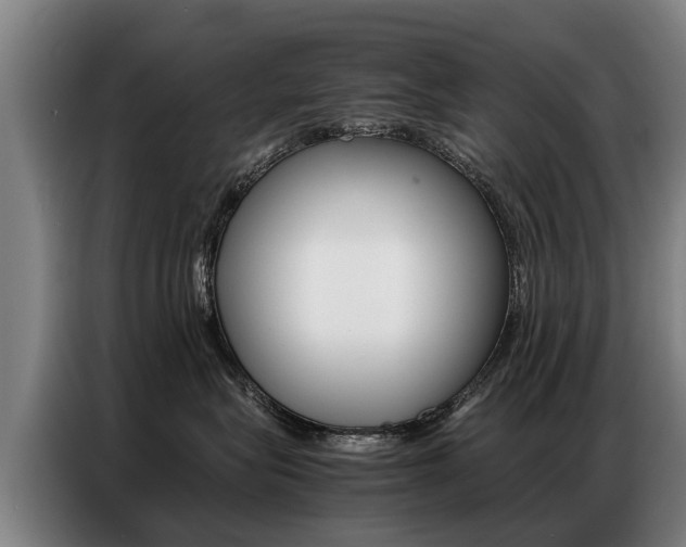 X0000087320575200704200742
