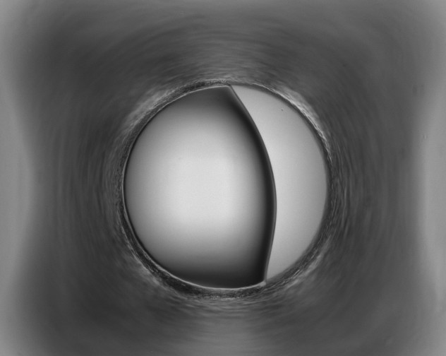 X0000087320577200704200741