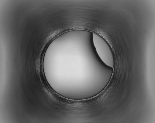 X0000087320578200704200741