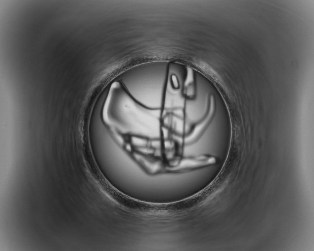 X0000087320581200704200741
