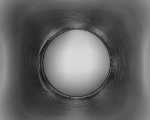 X0000087320582200704200741
