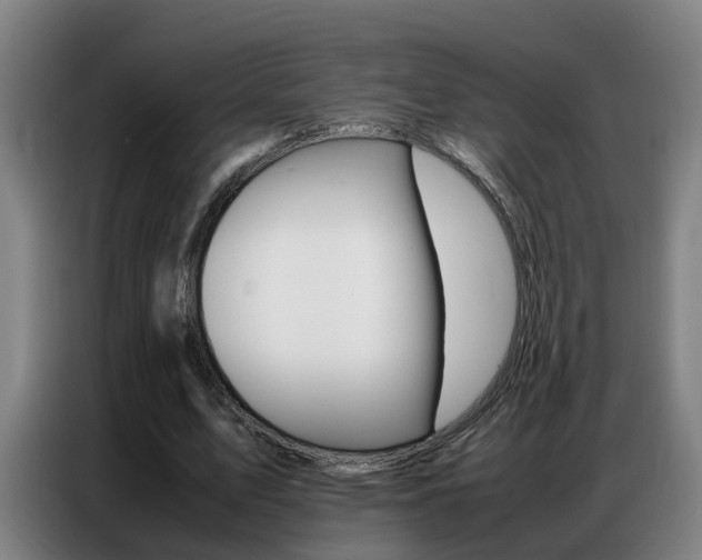 X0000087320583200704200741