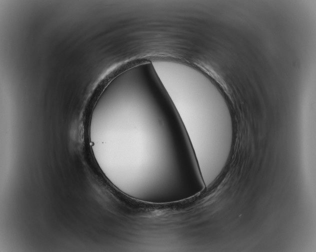 X0000087320584200704200741